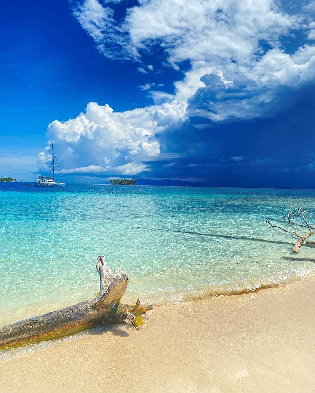 Palmeras inclinadas sobre una playa de arena blanca en Guna Yala