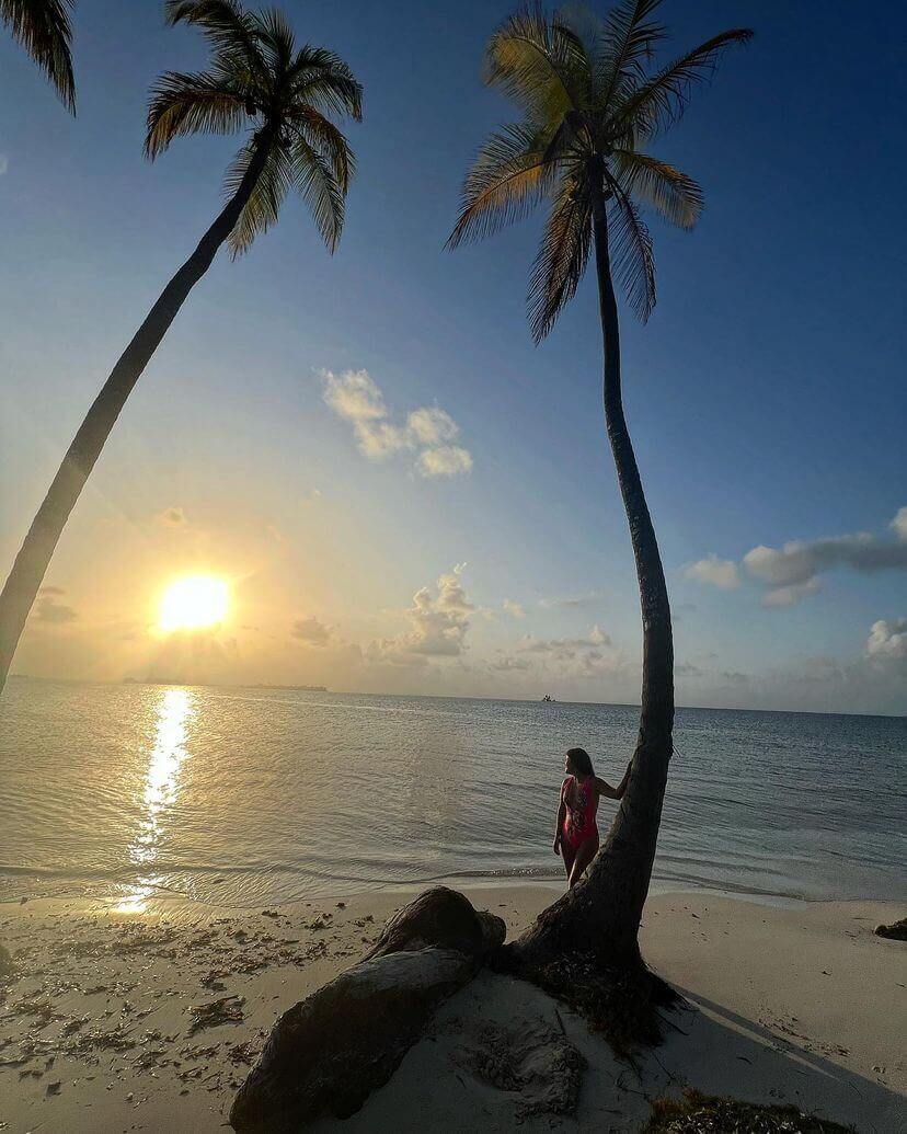 Palmeras inclinadas sobre una playa de arena blanca en Guna Yala