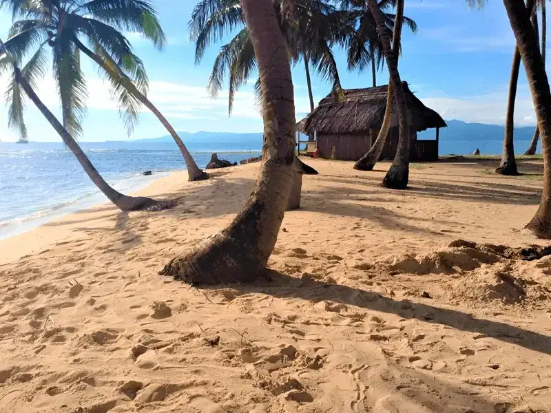 Playa de arena blanca en Isla Aguja, Guna Yala